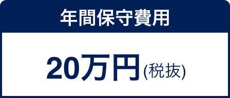年間保守費用 20万円(税抜)