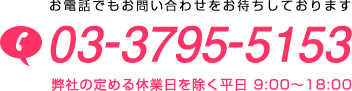 お電話でもお問い合わせをお待ちしております 03-3795-5153 弊社の定める休業日を除く平日 9:00～18:00